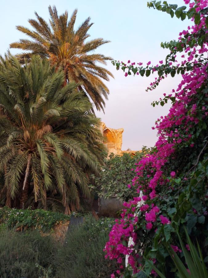 Golden Palms Guest House&cafe * Famagusta (Northern Cyprus)