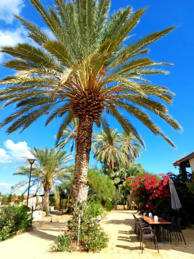 Golden Palms Guest House&cafe Gasthuis *