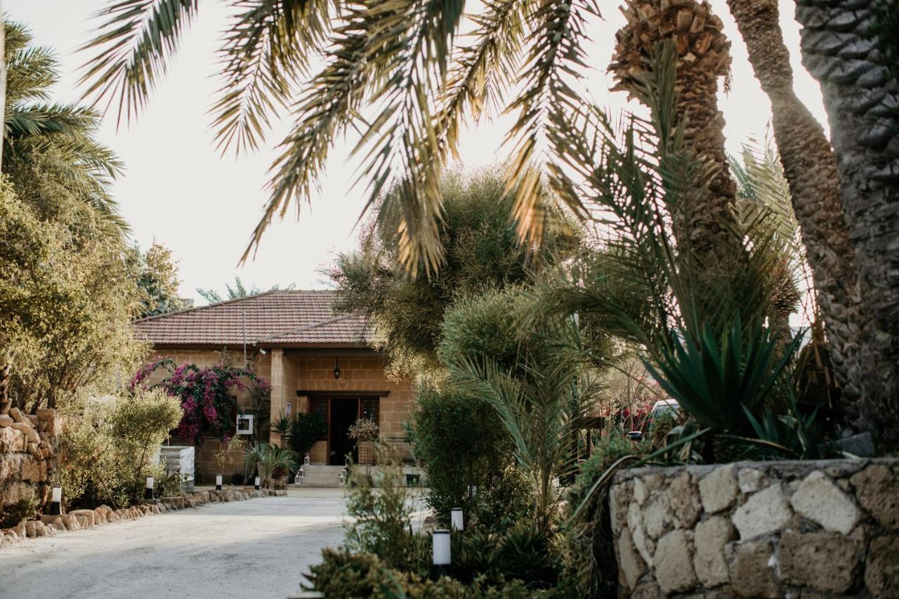 Golden Palms & Cafe Vendégház Famaguszta