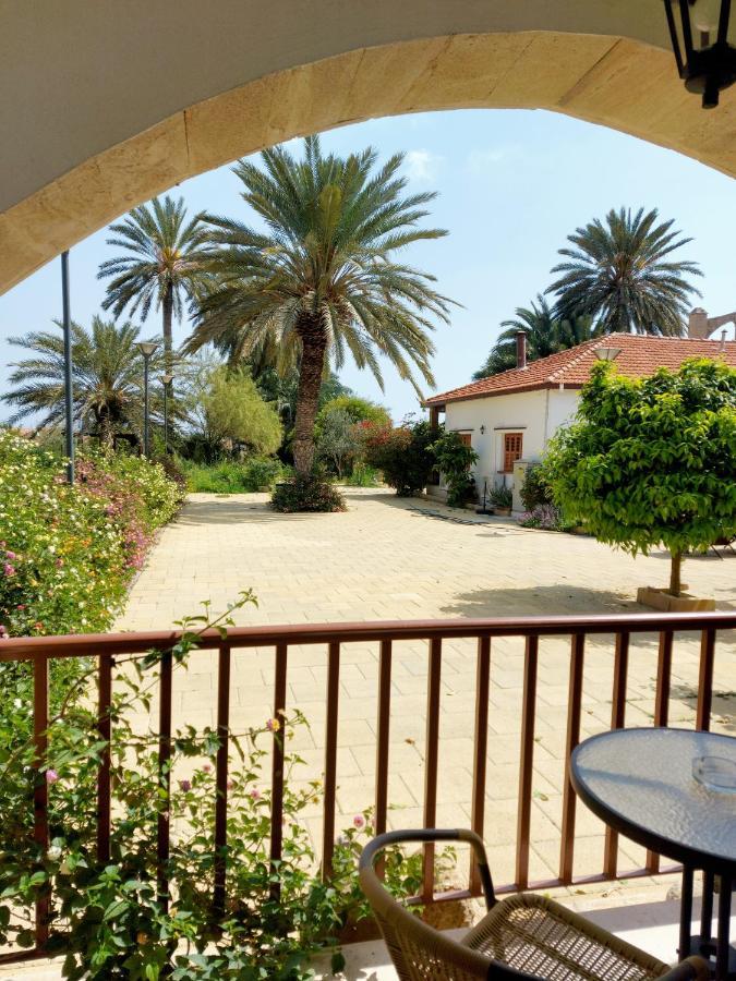Golden Palms & Cafe Pensiune *