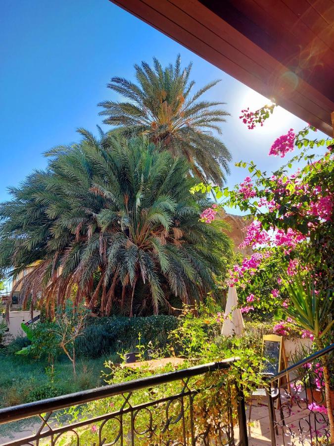 Golden Palms & Cafe Pensiune Famagusta (Northern Cyprus)