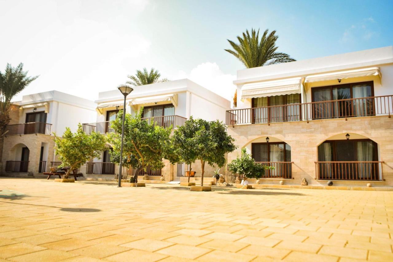 Golden Palms & Cafe * Famagusta (Northern Cyprus)